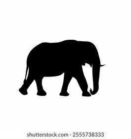 Elephant silhouettes, including hand-drawn shadows of elephants. Illustrated in vector format.