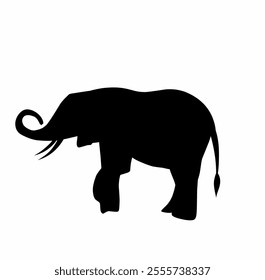 Elephant silhouettes, including hand-drawn shadows of elephants. Illustrated in vector format.