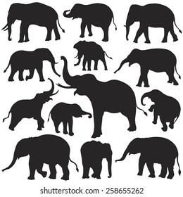 Elephant Silhouettes Set