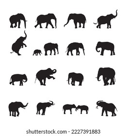 Elephant Silhouettes, Elephant silhouette collection