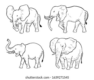 Elephant Simple Illustration Hand Drawn Sketch Stock Vector (Royalty ...