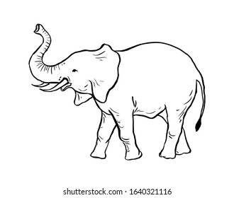 Elephant Outline Simple Vector Illustration Elephant Stock Illustration ...