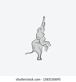 elephant simple vector illustration logo