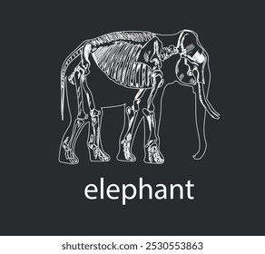 Sistema esquelético de elefante em um fundo branco esboço mão desenho vetor ilustração