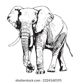 Elephant sketch hand drawn in doodle style Vector illustration Wild animals