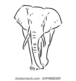 Elephant sketch hand drawn in doodle style Vector illustration Wild animals