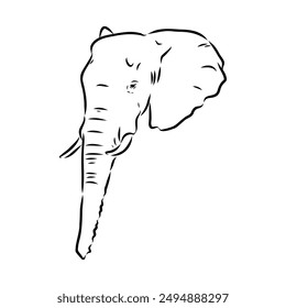 Elephant sketch hand drawn in doodle style Vector illustration Wild animals
