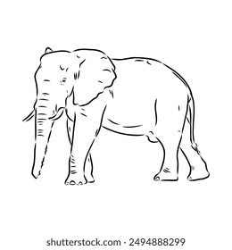 Elephant sketch hand drawn in doodle style Vector illustration Wild animals