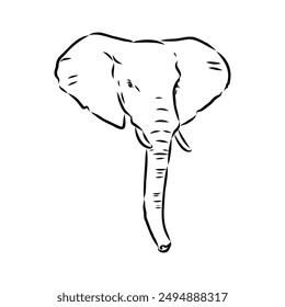 Elephant sketch hand drawn in doodle style Vector illustration Wild animals