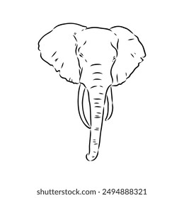 Elephant sketch hand drawn in doodle style Vector illustration Wild animals