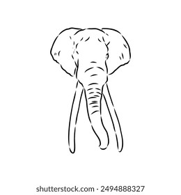 Elephant sketch hand drawn in doodle style Vector illustration Wild animals