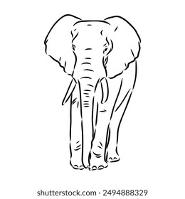 Elephant sketch hand drawn in doodle style Vector illustration Wild animals