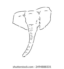 Elephant sketch hand drawn in doodle style Vector illustration Wild animals