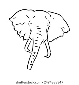 Elephant sketch hand drawn in doodle style Vector illustration Wild animals