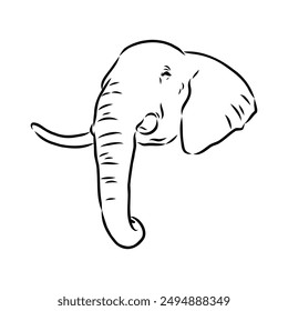 Elephant sketch hand drawn in doodle style Vector illustration Wild animals
