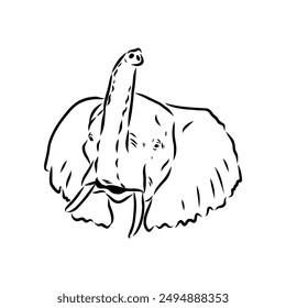 Elephant sketch hand drawn in doodle style Vector illustration Wild animals