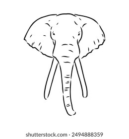 Elephant sketch hand drawn in doodle style Vector illustration Wild animals