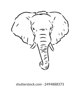 Elephant sketch hand drawn in doodle style Vector illustration Wild animals