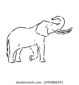 Elephant sketch hand drawn in doodle style Vector illustration Wild animals