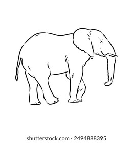 Elephant sketch hand drawn in doodle style Vector illustration Wild animals