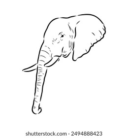Elephant sketch hand drawn in doodle style Vector illustration Wild animals