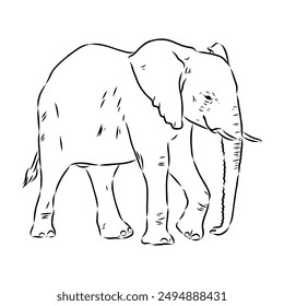 Elephant sketch hand drawn in doodle style Vector illustration Wild animals