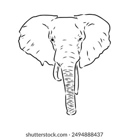 Elephant sketch hand drawn in doodle style Vector illustration Wild animals