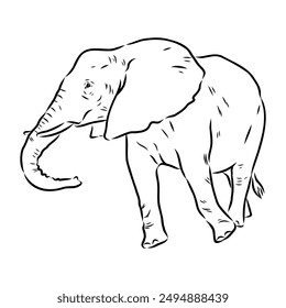 Elephant sketch hand drawn in doodle style Vector illustration Wild animals