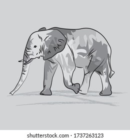 Elephant sketch illustration. Vector art of elephant. 