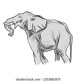 Elephant sketch illustration vector. hand drawing wildlife