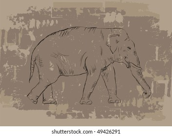Elephant sketch on grunge background