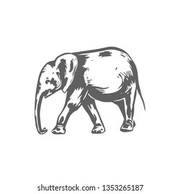 Elephant sketch vector illustration. Elephant hand drawing