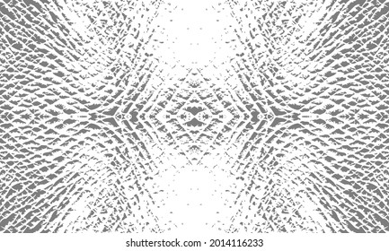 Elephant skin background. Animal print. 