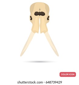 Elephant skull color flat icon for web and mobile design