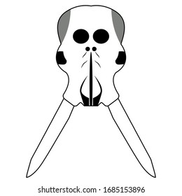 Elephant skull isolated on white background. EPS.file. Size width 4000 pixel and height 4000 pixel.