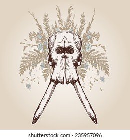 Elephant skull on a plumage background. Contains transparent objects