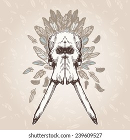 Elephant skull on a plumage background. Contains transparent objects