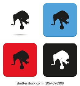Elephant standing on a ball flat vector icon. Animal illustration.