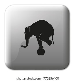 Elephant standing on a ball flat vector icon. Animal illustration.