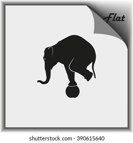 Elephant standing on a ball icon. Flat animal illustration.