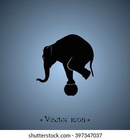 Elephant standing on a ball icon. Flat animal illustration. 