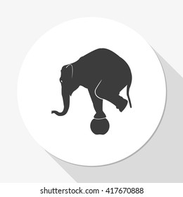 Elephant standing on a ball icon. Flat animal illustration.