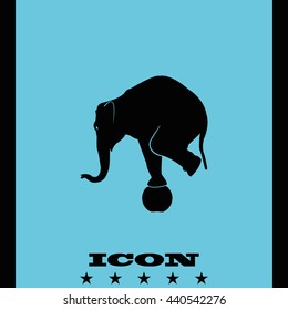 Elephant standing on a ball icon. Flat animal illustration.