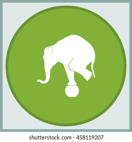 Elephant standing on a ball icon. Flat animal illustration.