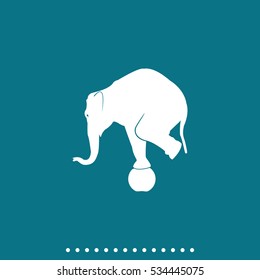 Elephant standing on a ball icon. Flat animal illustration.