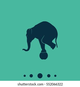 Elephant standing on a ball icon. Flat animal illustration.