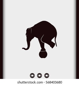 Elephant standing on a ball icon. Flat animal illustration.