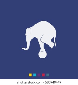 Elephant standing on a ball icon. Flat animal illustration.