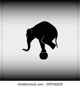 Elephant standing on a ball icon. Flat animal illustration.