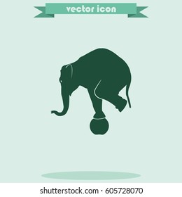 Elephant standing on a ball icon. Flat animal illustration.